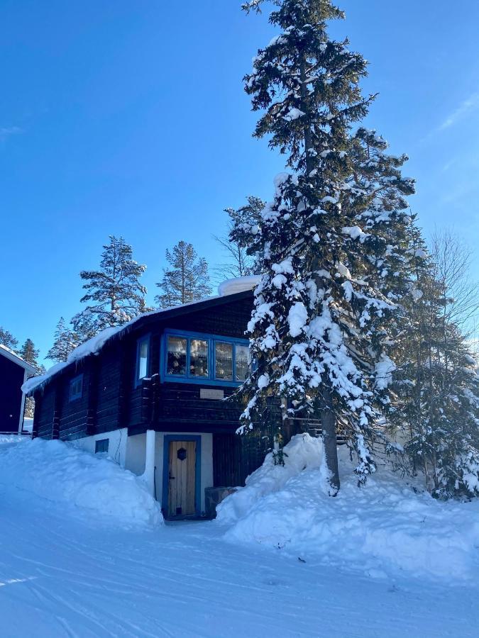 Joaengets Fjaellgard Villa Sälen Buitenkant foto