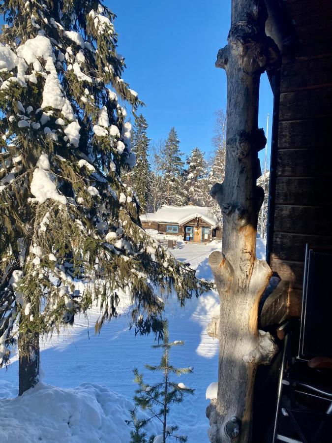 Joaengets Fjaellgard Villa Sälen Buitenkant foto